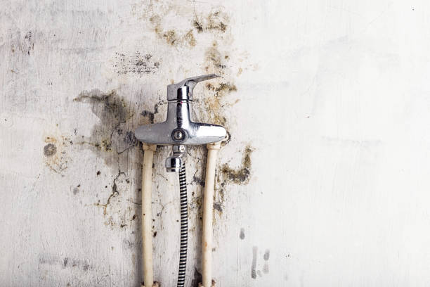 Best HVAC Mold Remediation in Markesan, WI