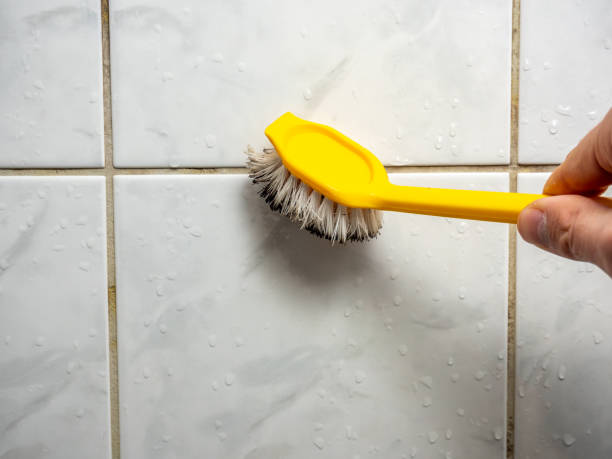Best Kitchen Mold Remediation in Markesan, WI