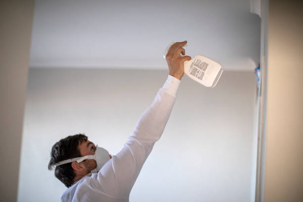 Best Black Mold Remediation in Markesan, WI