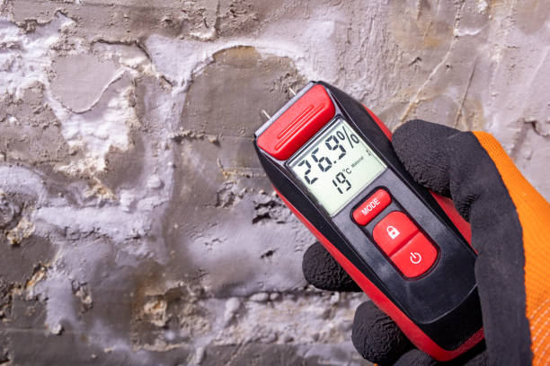 Best Residential Mold Remediation in Markesan, WI